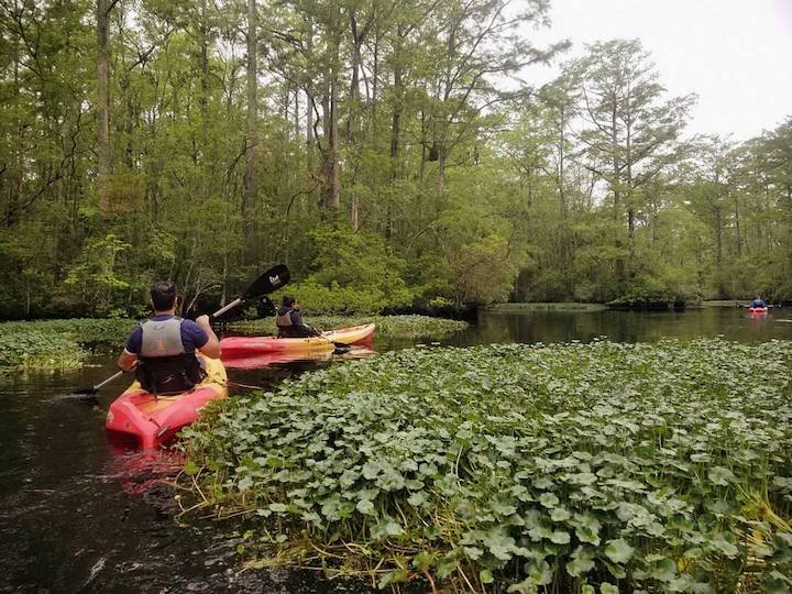 two people is rec kayaks on a slow river