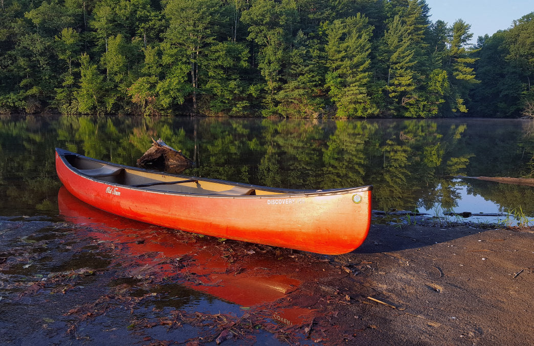 A Guide to Exploring Philpott Lake