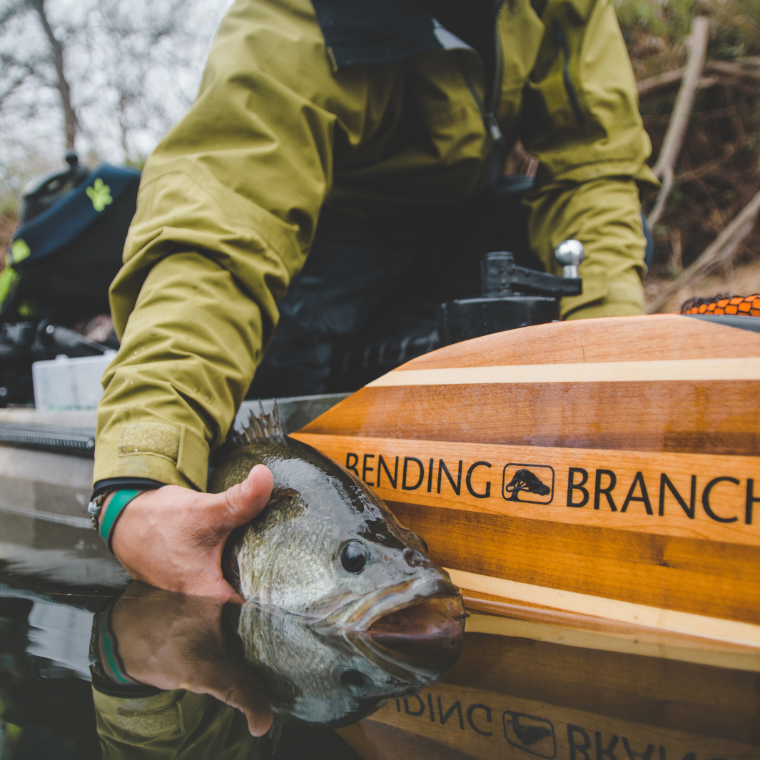 angler navigator blade next to fish over edge of kayak