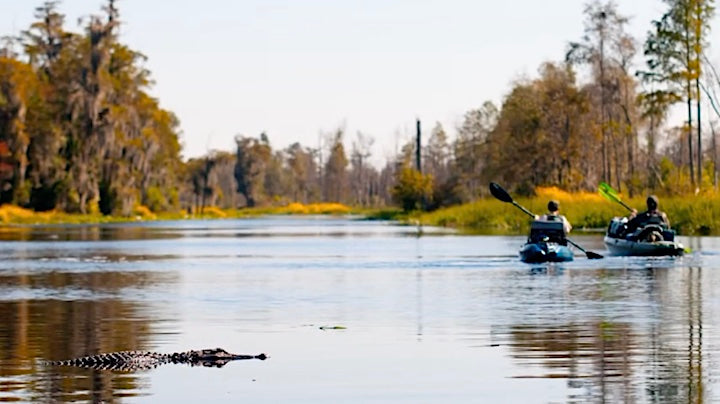 Kayak Fishing and Alligators