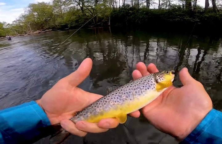 Tips for Kayak Fly Fishing on Rivers