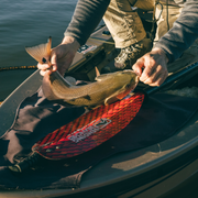 Copperhead paddle closeup next to fish